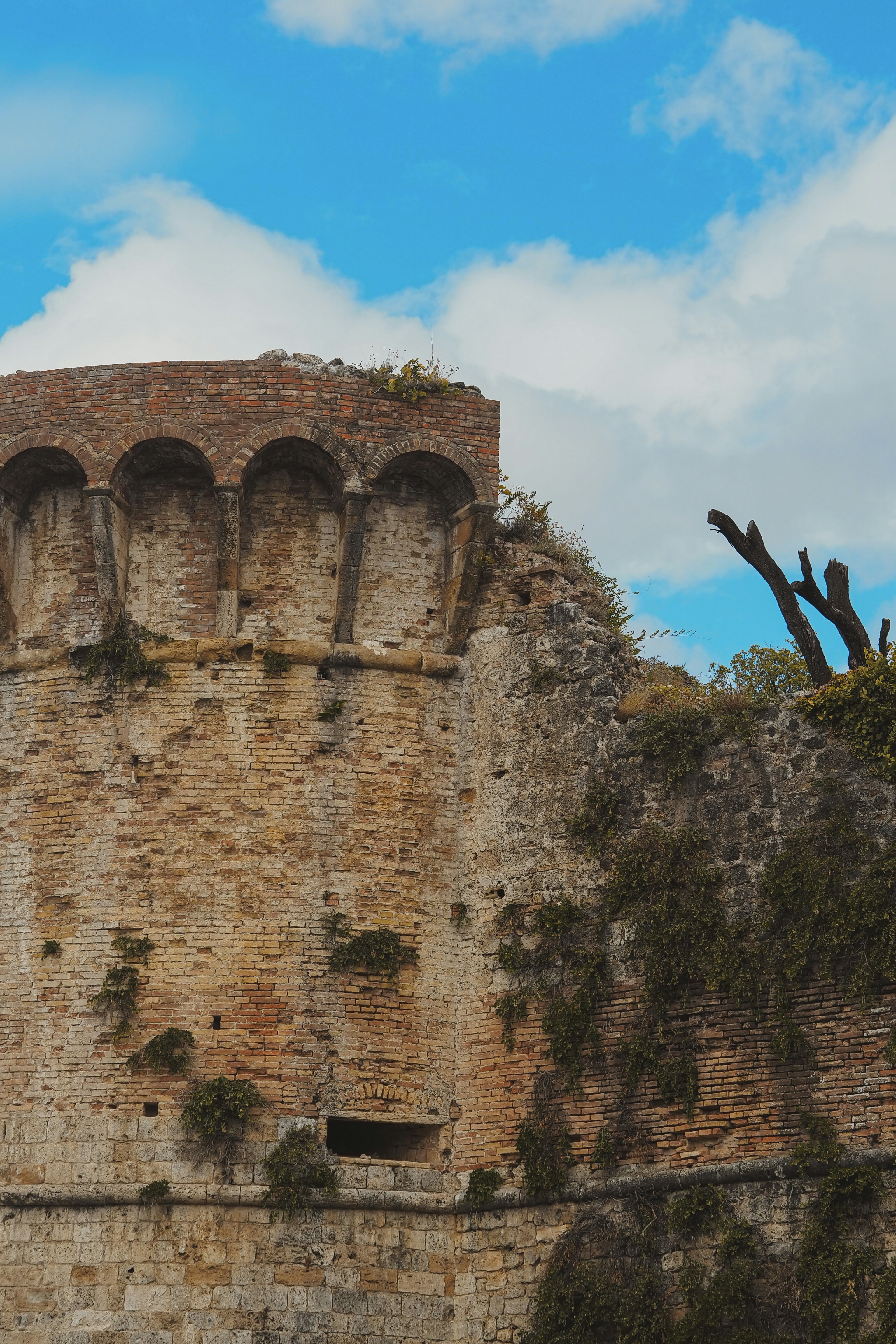 Photo by laurachouette