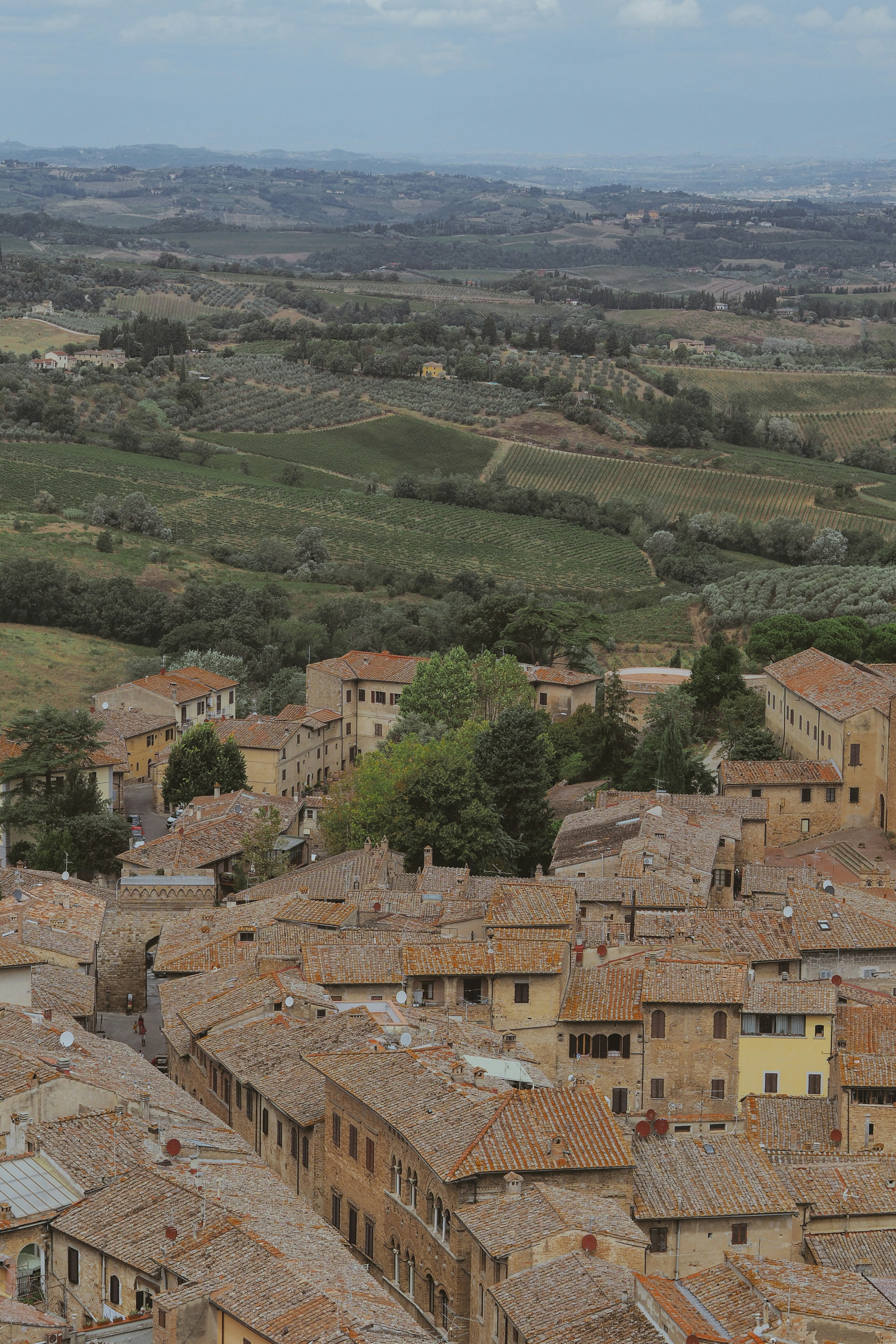 Photo by laurachouette