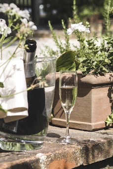 A glass of champagne sits on a stone surface next to a planter filled with green foliage and white flowers. A bottle of champagne is partially visible in a transparent ice bucket, accompanied by a white napkin. The scene is set outdoors with natural light highlighting the greenery and flowers.