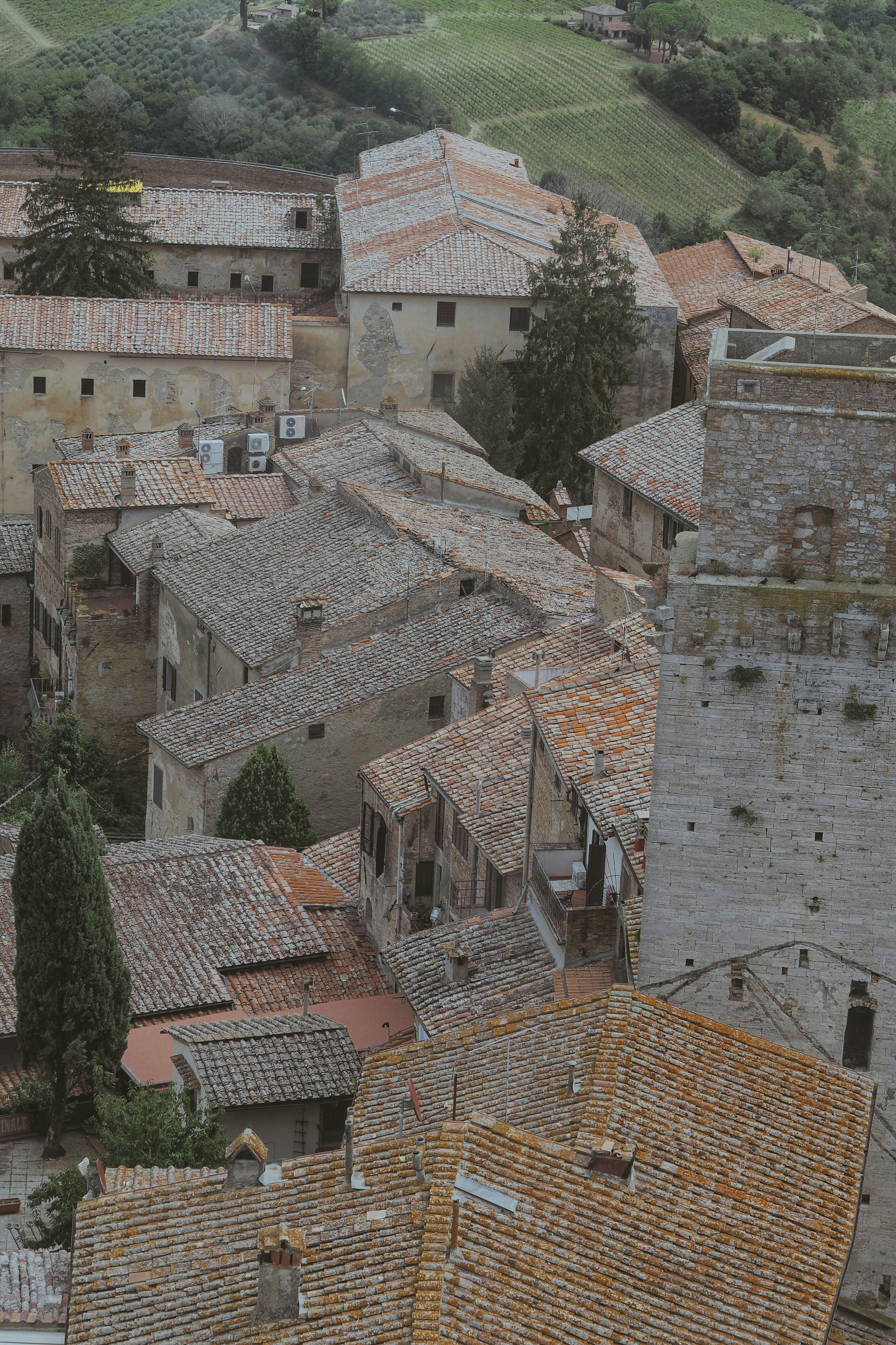 Photo by laurachouette