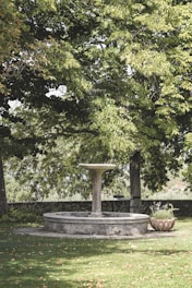 Elegant stone bird bath with water reflecting the sky and nearby greenery.