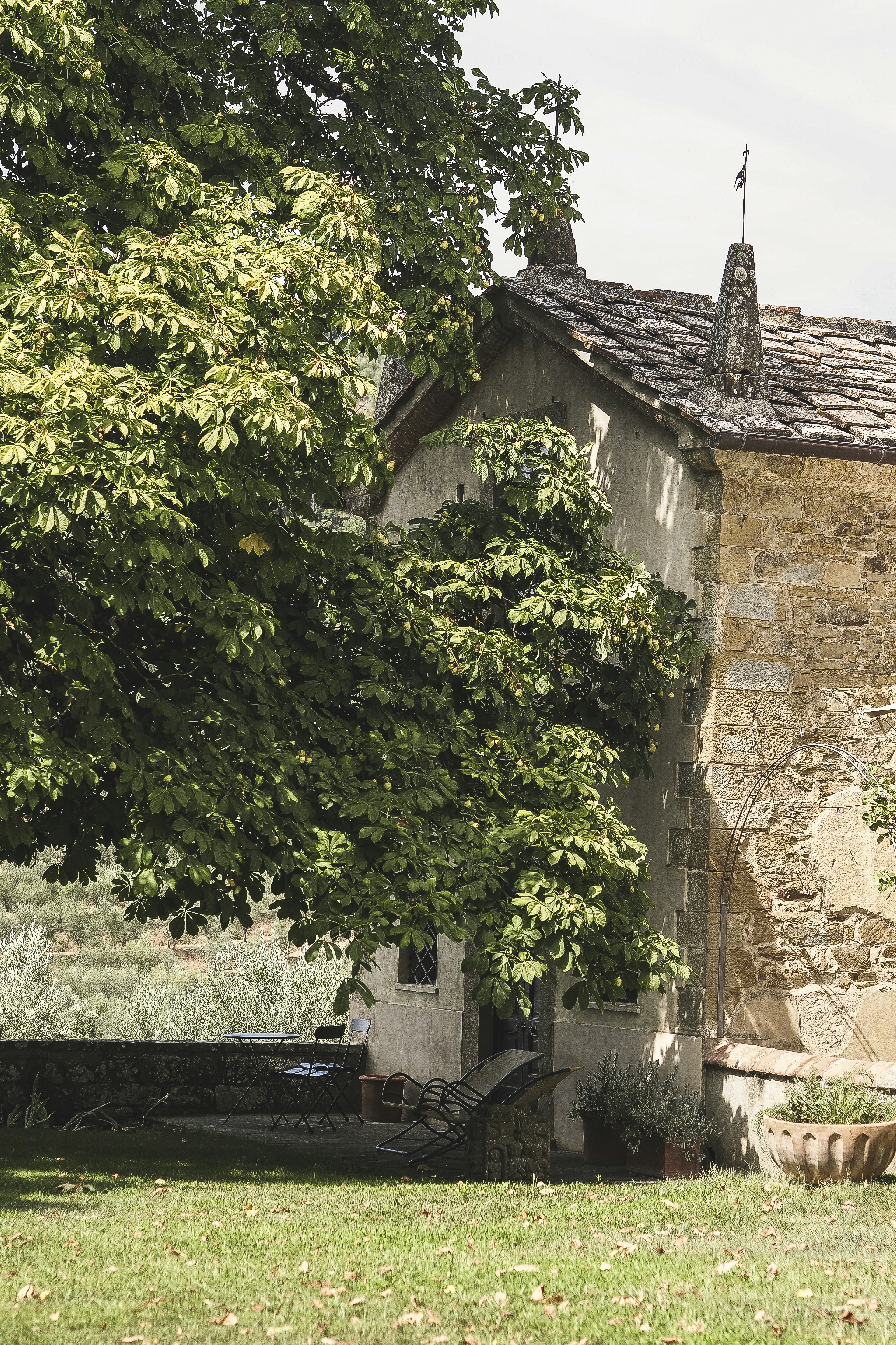 Photo by laurachouette