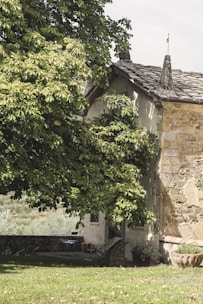 A rustic stone house partially concealed by lush green foliage. The building features stone and plaster walls with a slate roof, topped by a small stone chimney. Outdoor furniture, including a table and chairs, is placed on a patio partially shaded by the tree. The surrounding landscape includes a lawn and distant hills with olive trees.