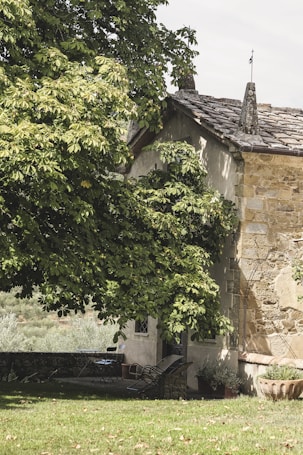 A rustic stone house partially concealed by lush green foliage. The building features stone and plaster walls with a slate roof, topped by a small stone chimney. Outdoor furniture, including a table and chairs, is placed on a patio partially shaded by the tree. The surrounding landscape includes a lawn and distant hills with olive trees.