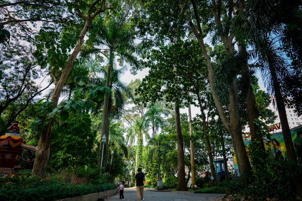 a couple of people walking through a lush green forest