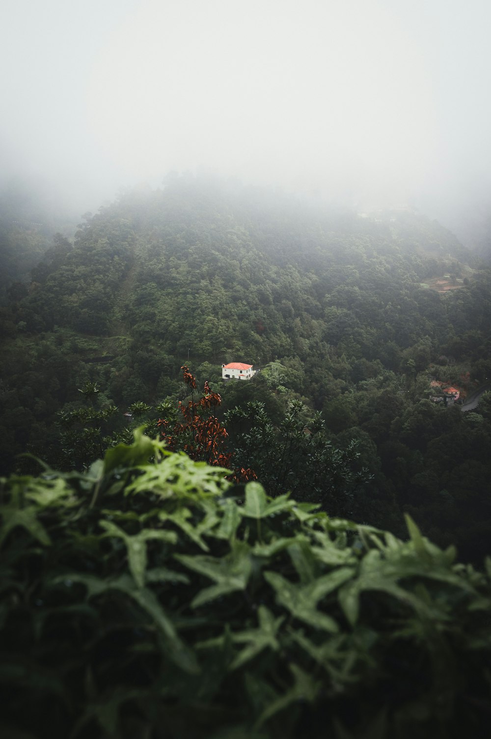 a foggy mountain with a house on top of it