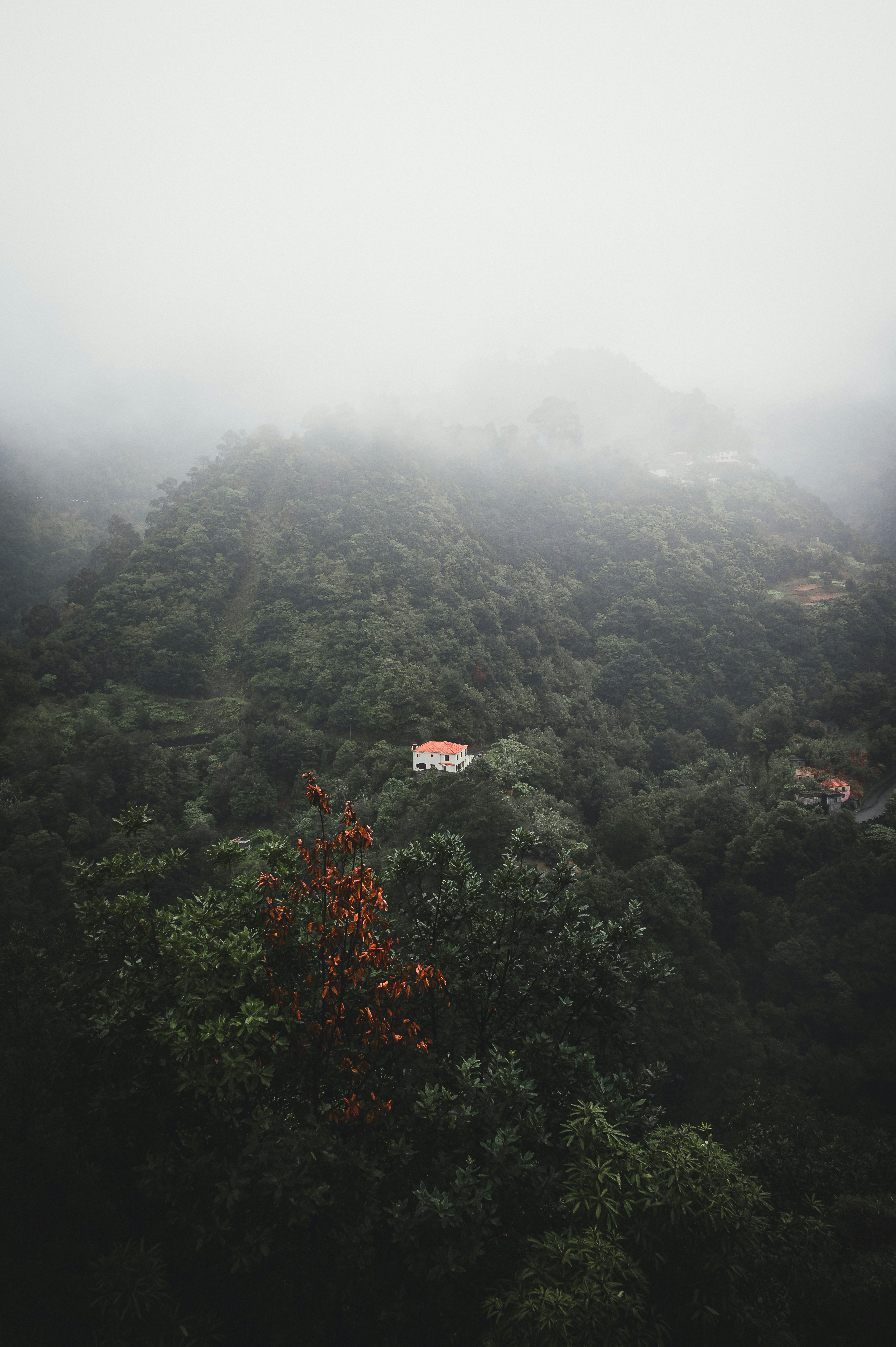 una montaña brumosa con una casa en la cima