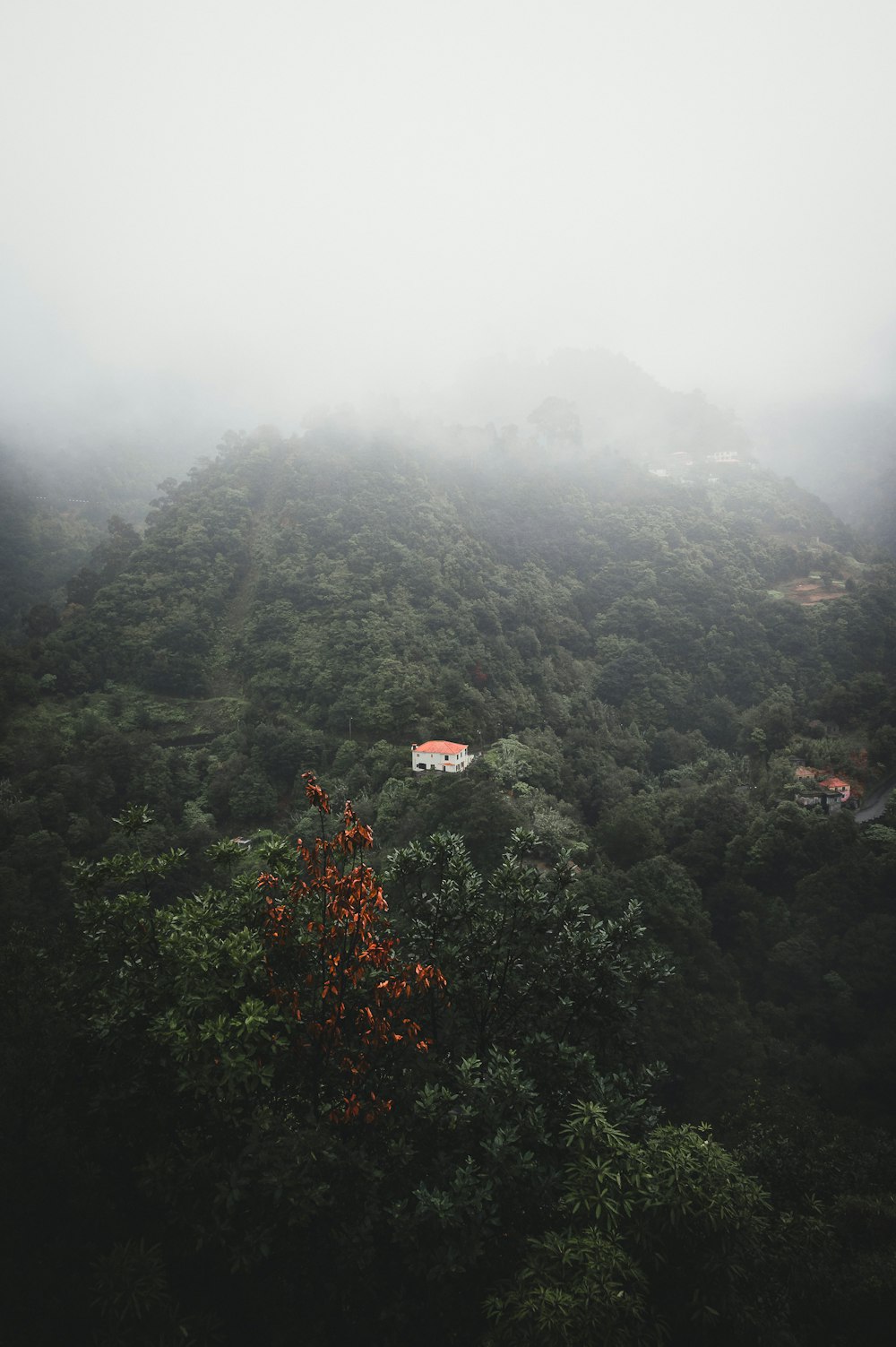 a foggy mountain with a house on top of it