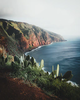 Lush greenery and rugged cliffs along the Padre Nuestro trail in Cotubanamá National Park.