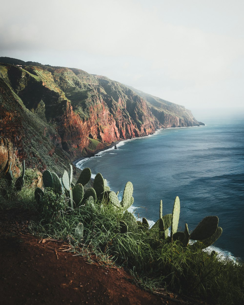 a large body of water sitting next to a lush green hillside