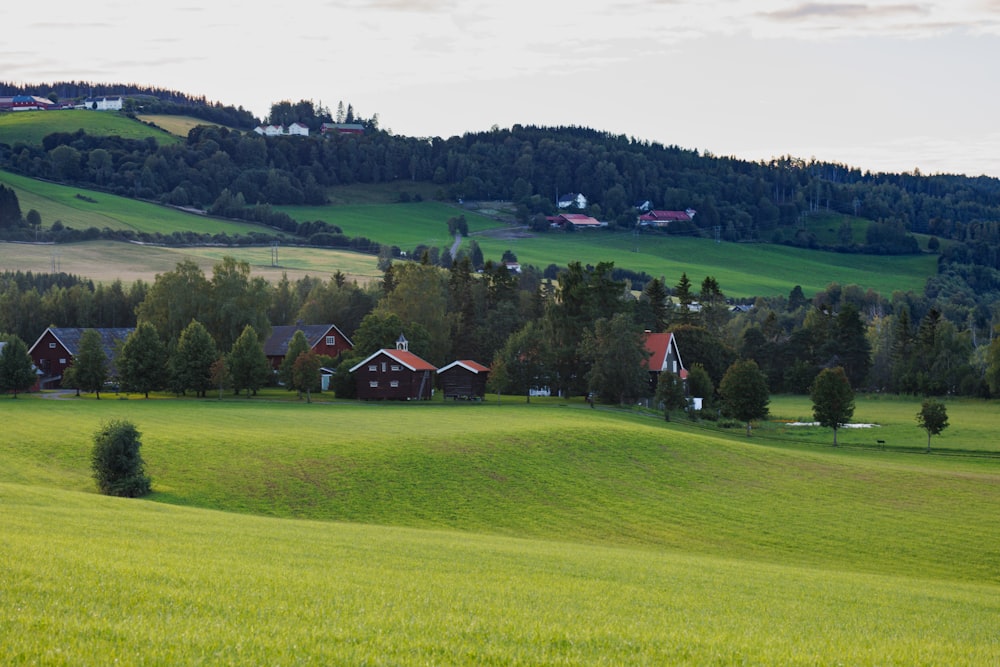 a green field with houses in the distance