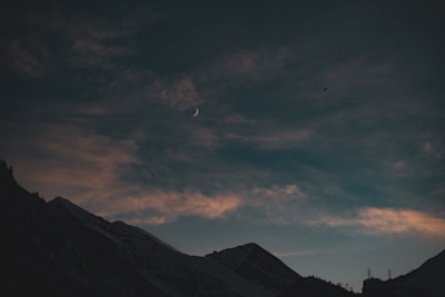 A mystical phoenix rising, glowing softly against a twilight backdrop.