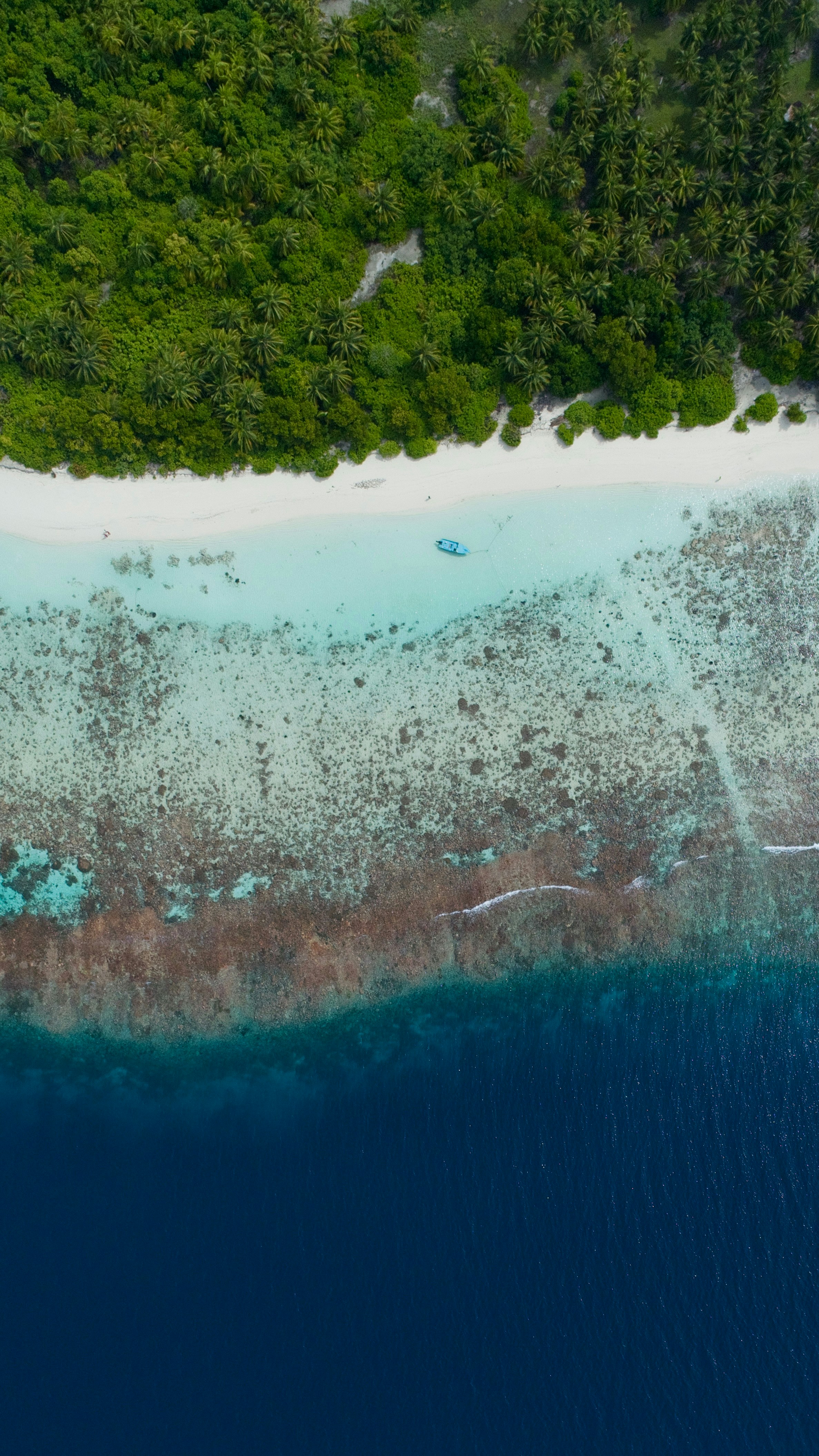 Tour to Alor Island with Flores Pristine Tour