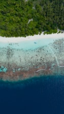 An aerial view of a tropical island with lush green palm trees bordering a pristine white sandy beach. The turquoise waters transition into deeper blue as they meet a coral reef.