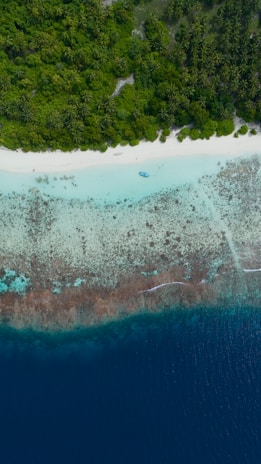 An aerial view of a tropical island with lush green palm trees bordering a pristine white sandy beach. The turquoise waters transition into deeper blue as they meet a coral reef.