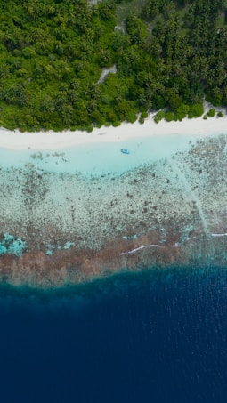 An aerial view of a tropical island with lush green palm trees bordering a pristine white sandy beach. The turquoise waters transition into deeper blue as they meet a coral reef.