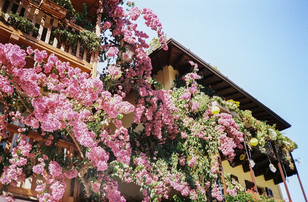 a building with pink flowers growing on the side of it