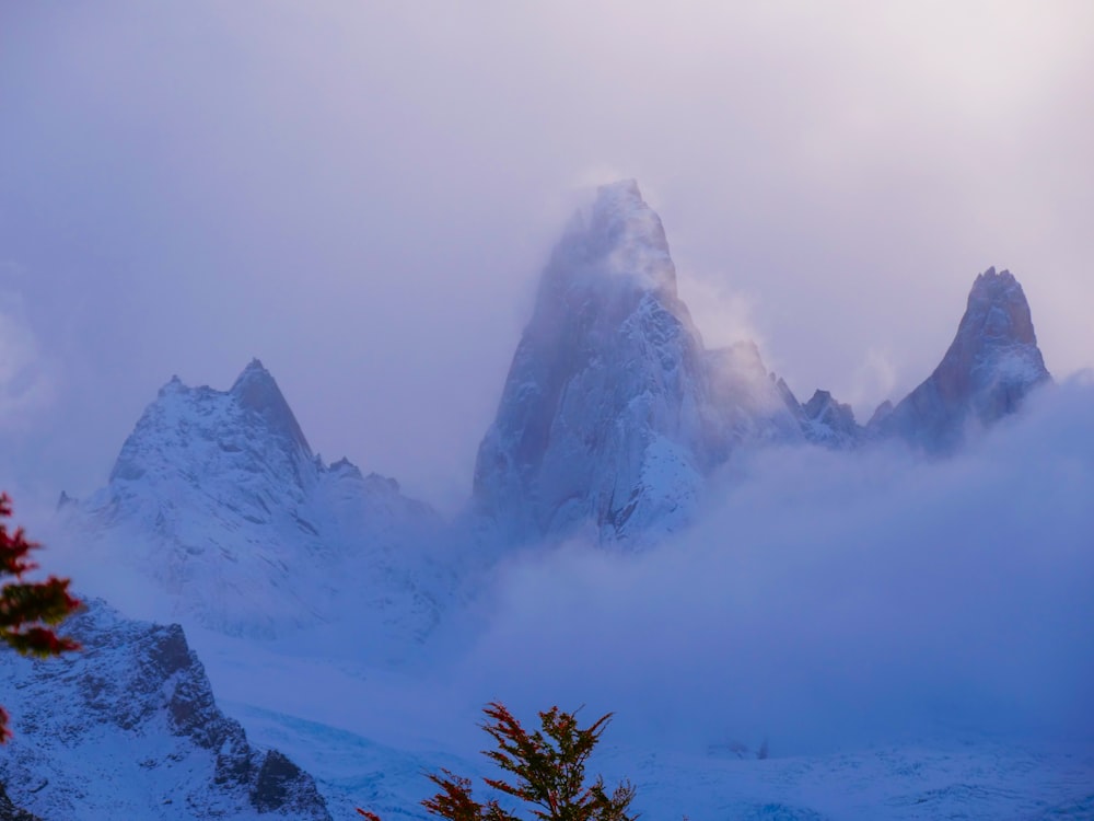 a mountain covered in snow with a few trees in the foreground