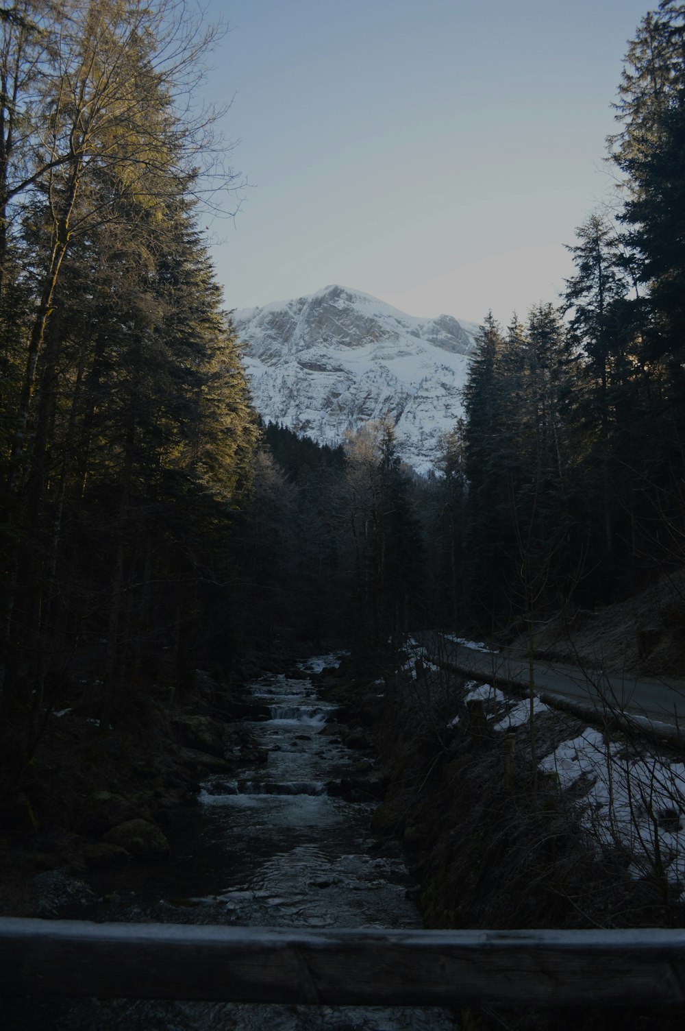 a river running through a forest with a snow covered mountain in the background