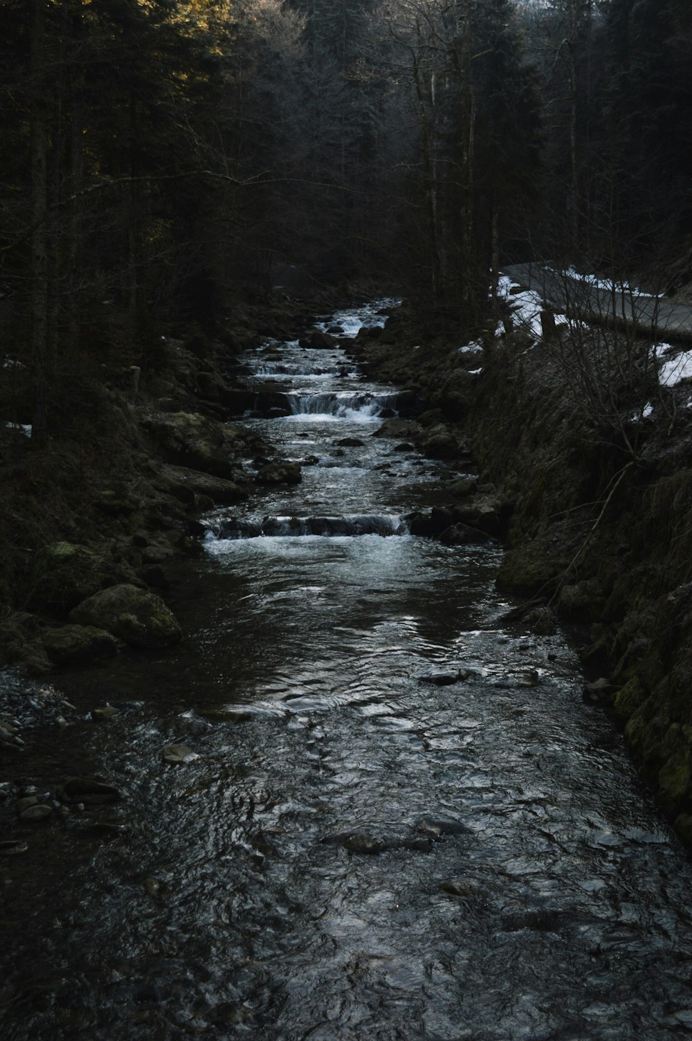 a stream running through a forest filled with trees