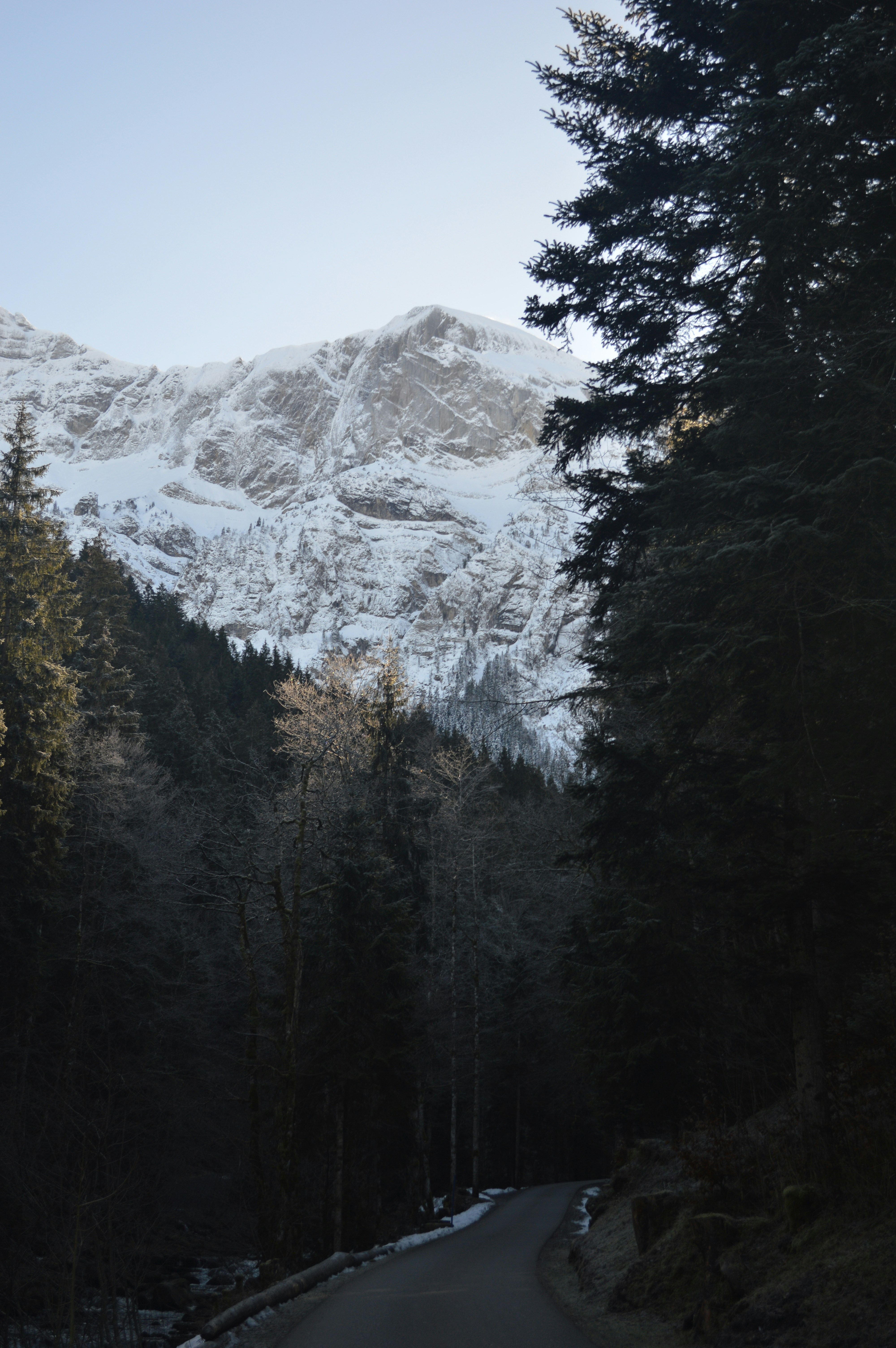 Photo by turnthewalds