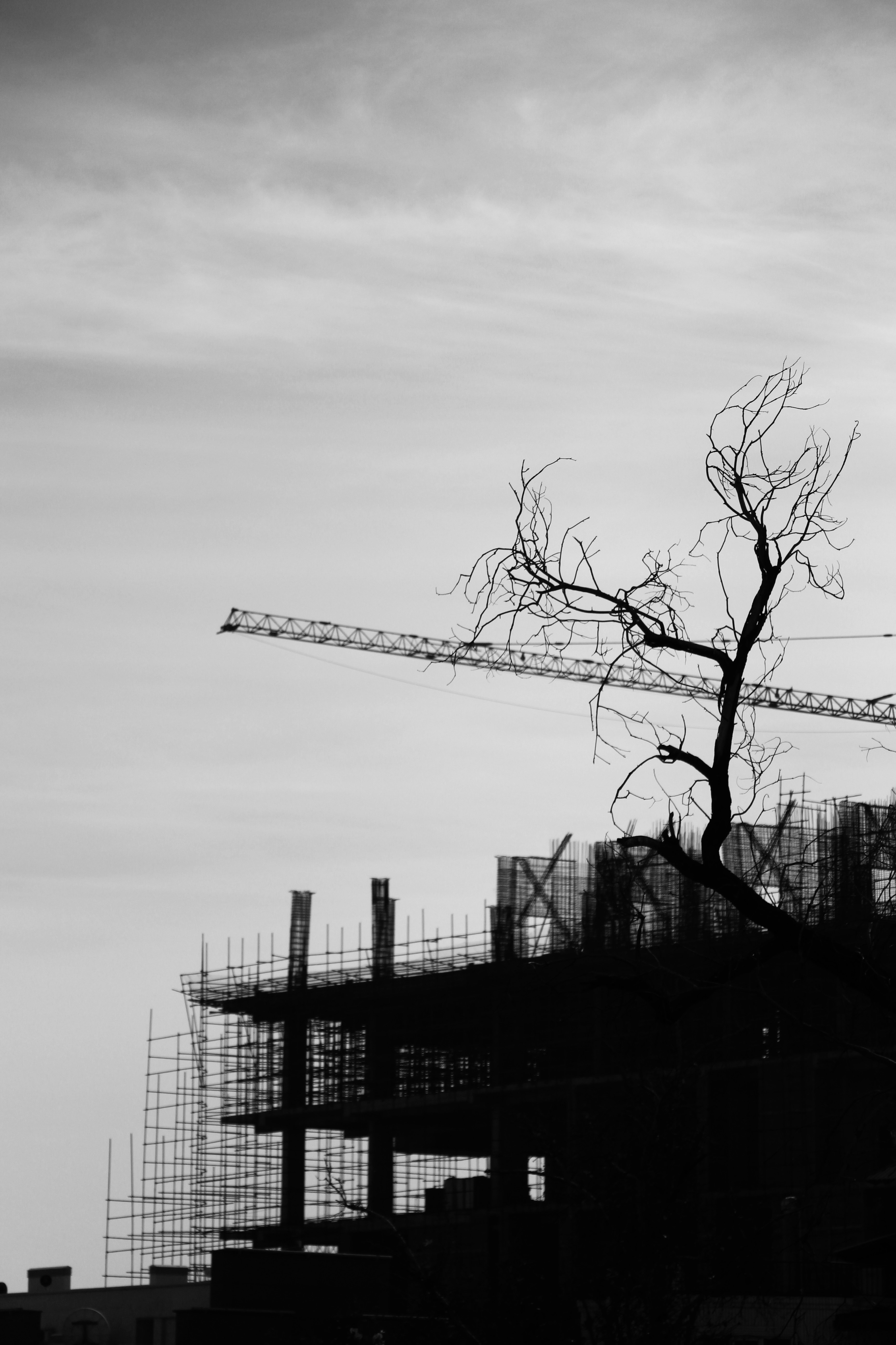 modern scaffolding