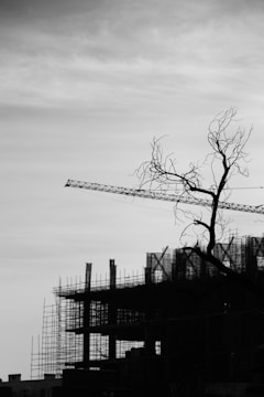 a black and white photo of a building under construction