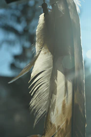 A peaceful scene of gentle earth tones blending with soft green leaves and feathers floating in sunlight.