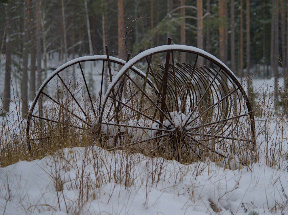 a snow covered tire sitting in the middle of a forest