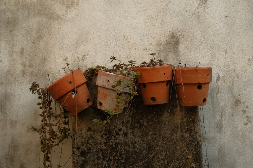 a group of clay pots sitting on top of a cement wall