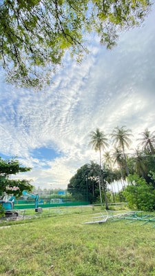 A serene outdoor scene featuring a grassy area with scattered construction materials in the foreground. Tall palm trees line the background, partially obscuring a vibrant blue sky filled with white, fluffy clouds. Construction equipment is visible to the left next to what appears to be a sports field enclosed by a green fence.