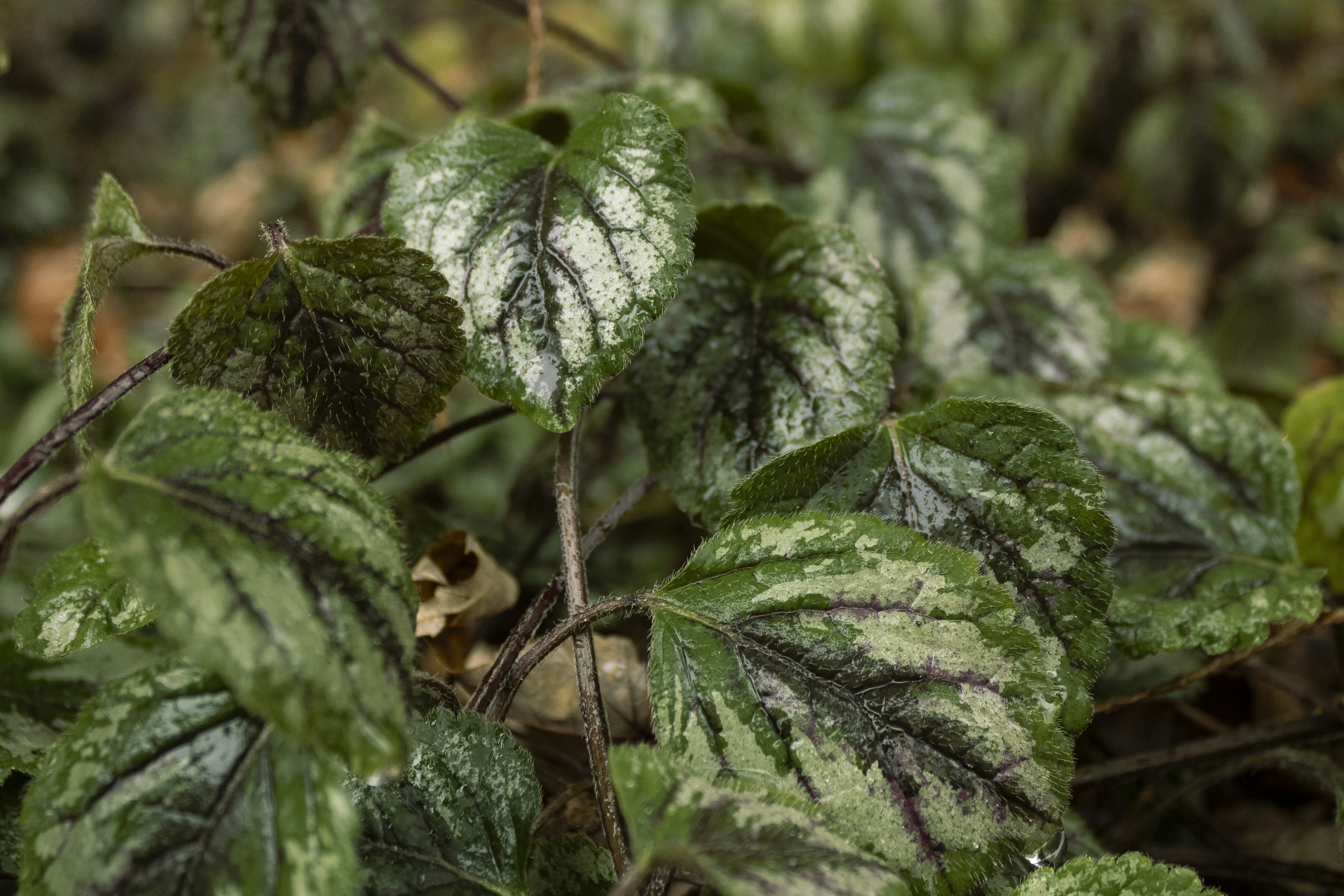 Photo by one23four56