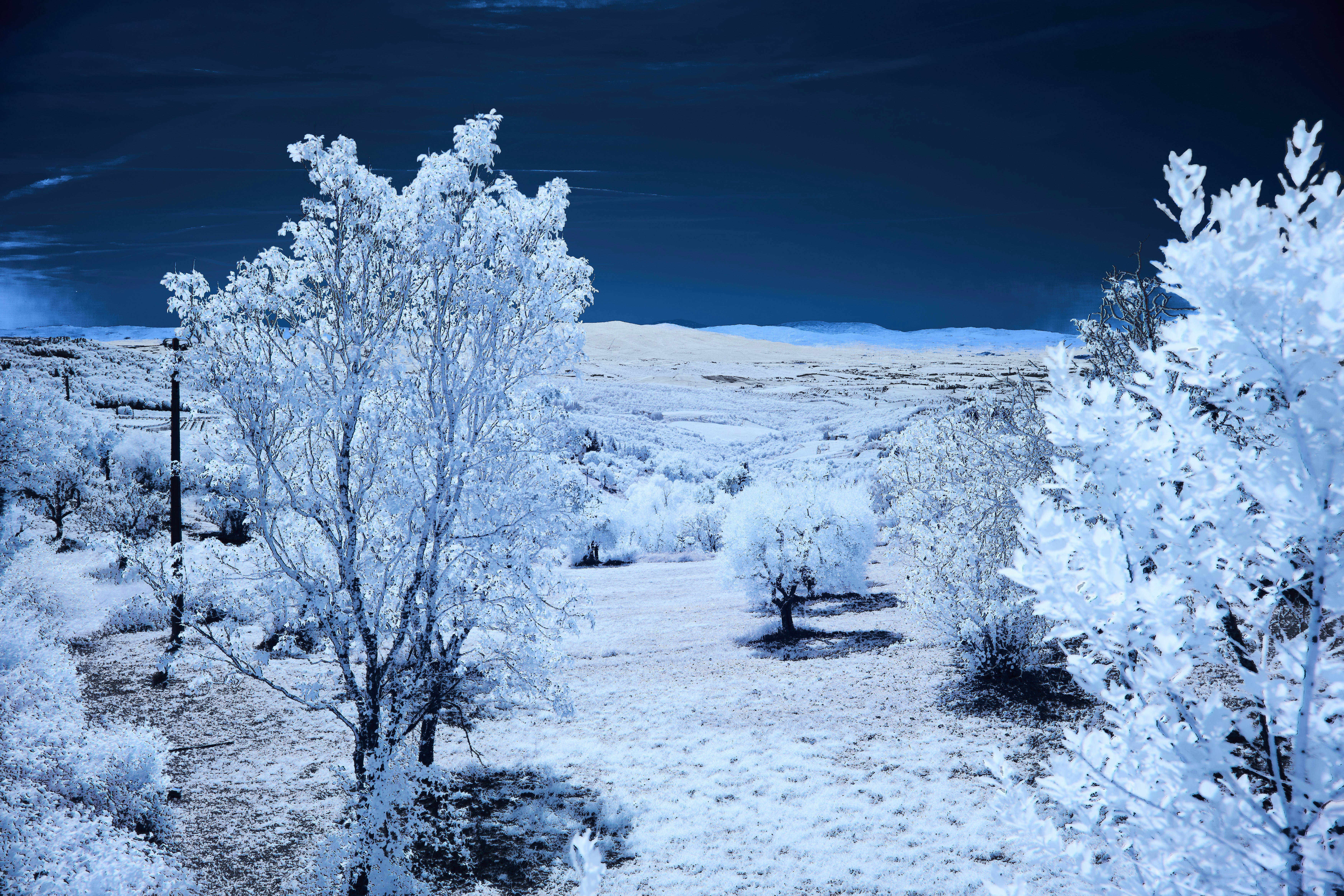 Photo by wolfgang_hasselmann