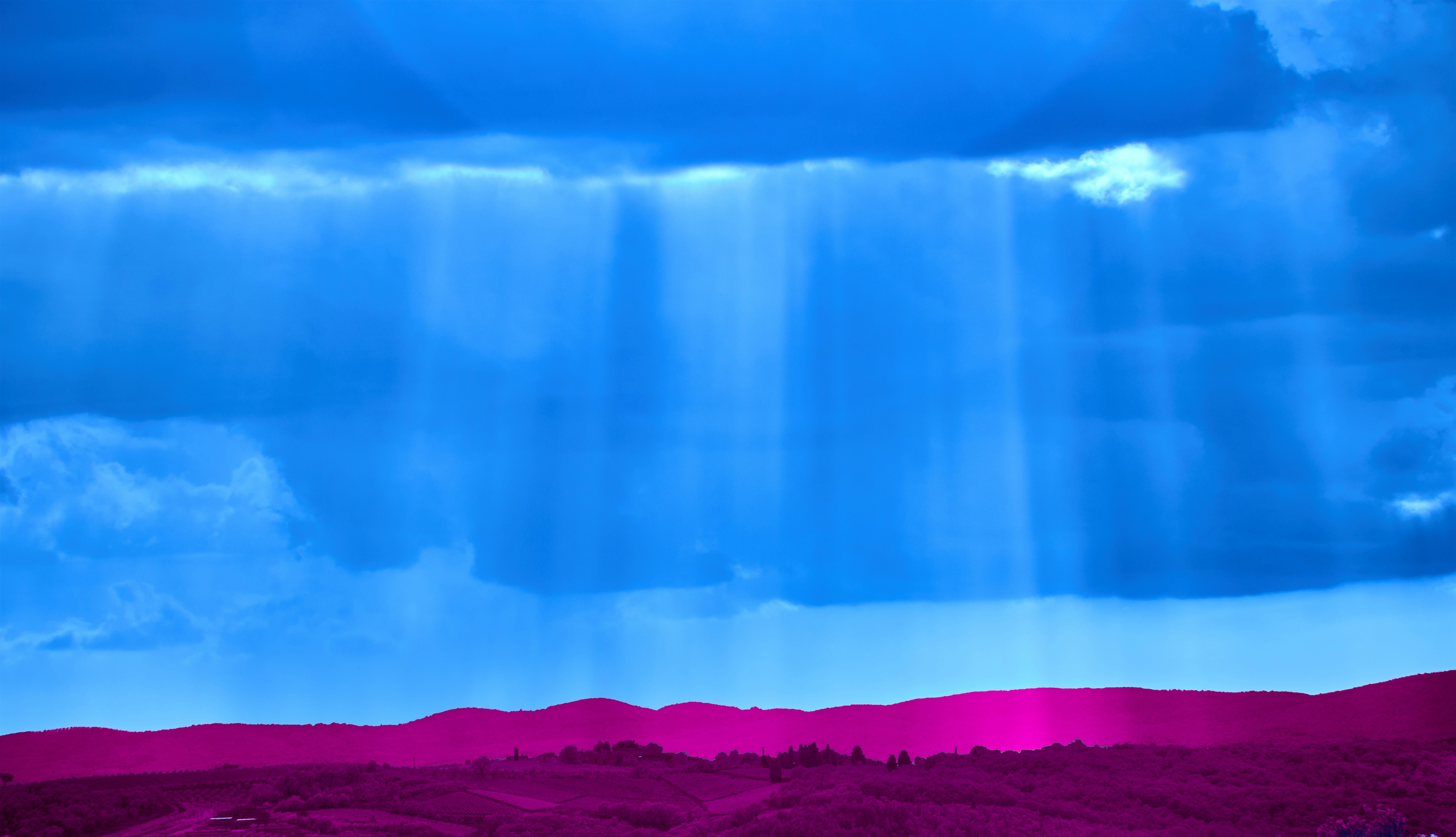 Photo by wolfgang_hasselmann