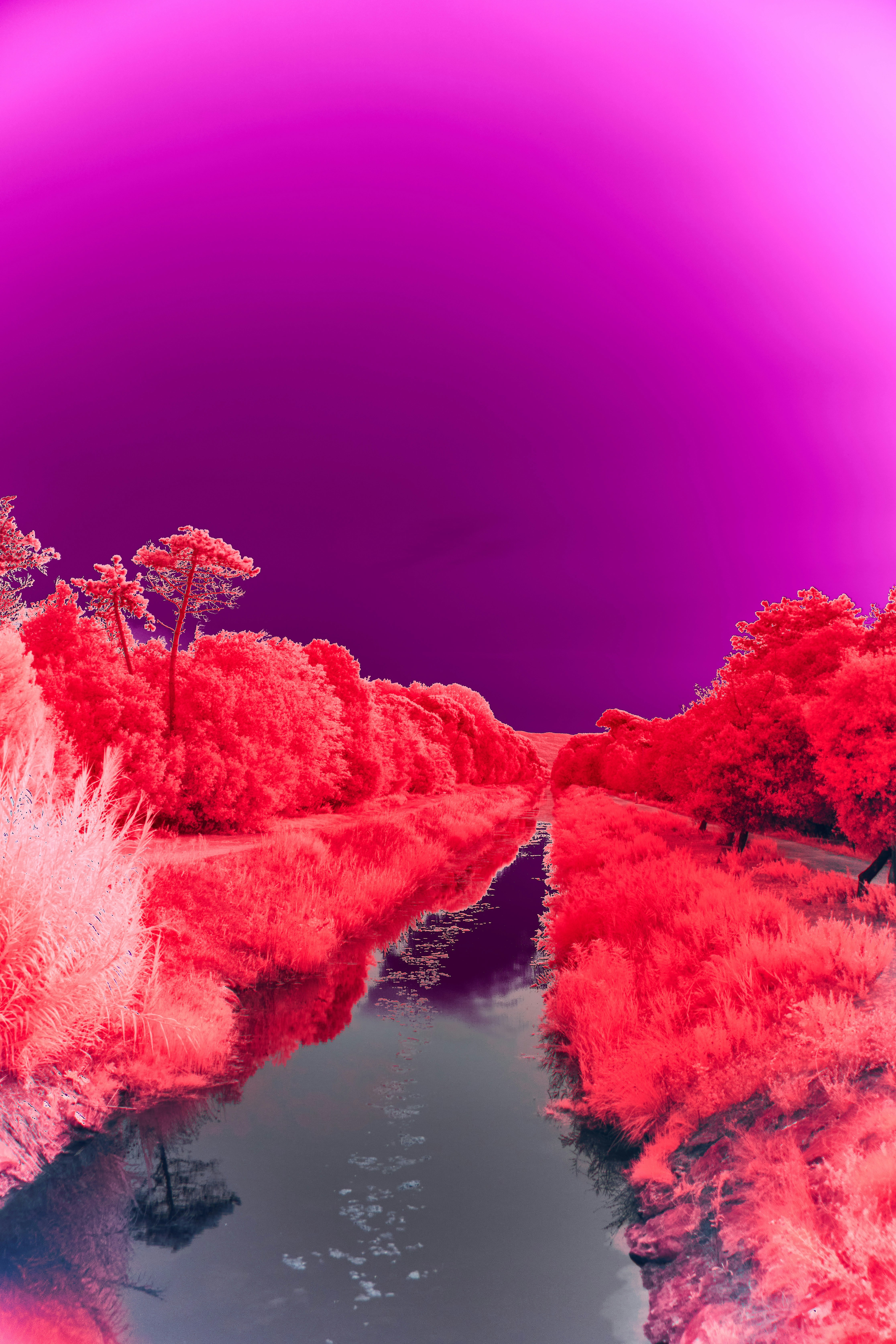 Photo by wolfgang_hasselmann