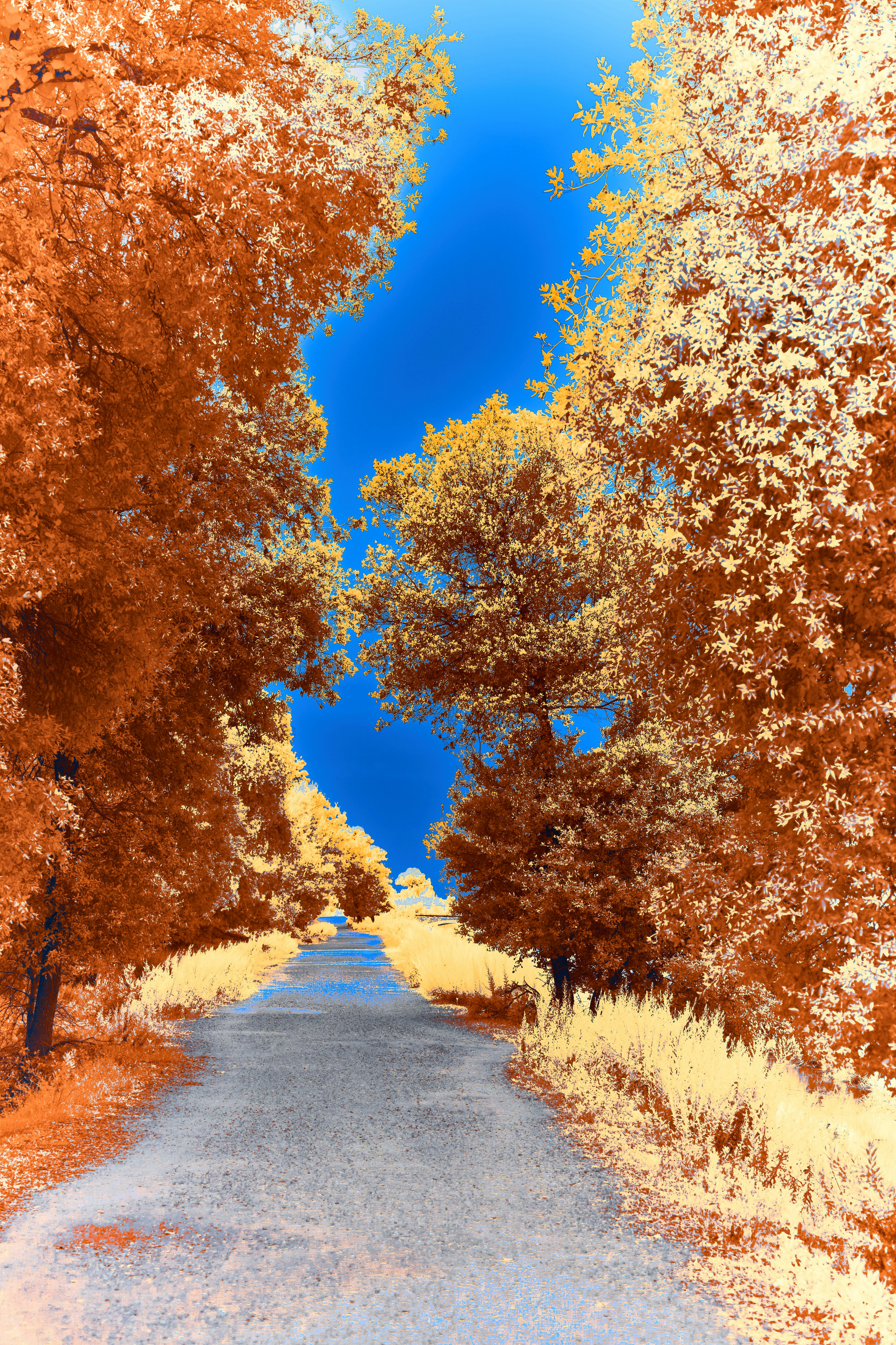 Photo by wolfgang_hasselmann