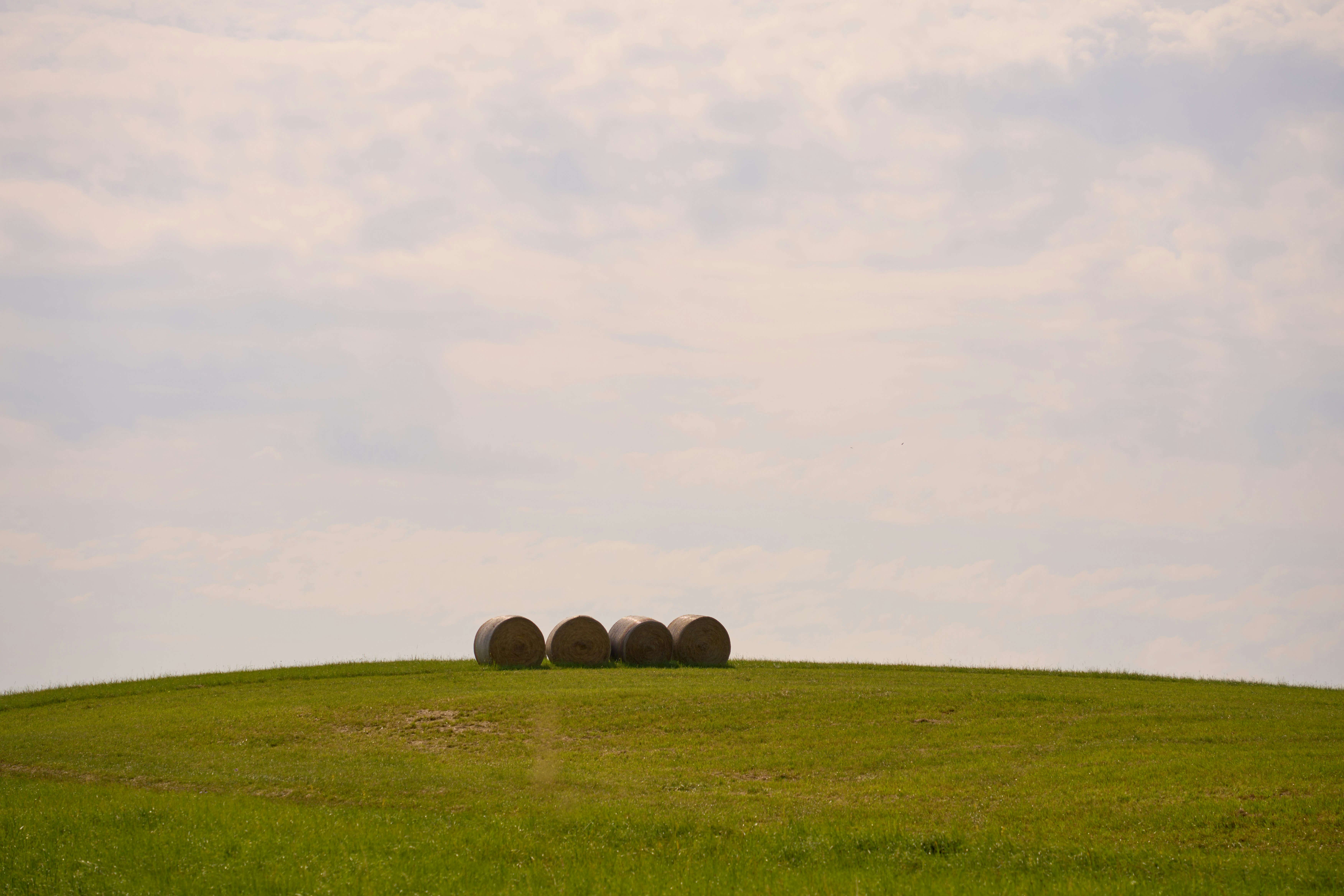 Photo by wolfgang_hasselmann