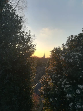 A serene pathway lined with blooming flowers leading to a peaceful temple at sunset.