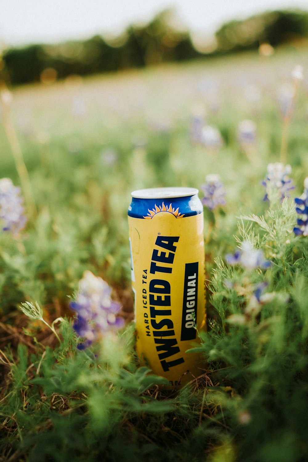 a can of beer sitting in a field of flowers