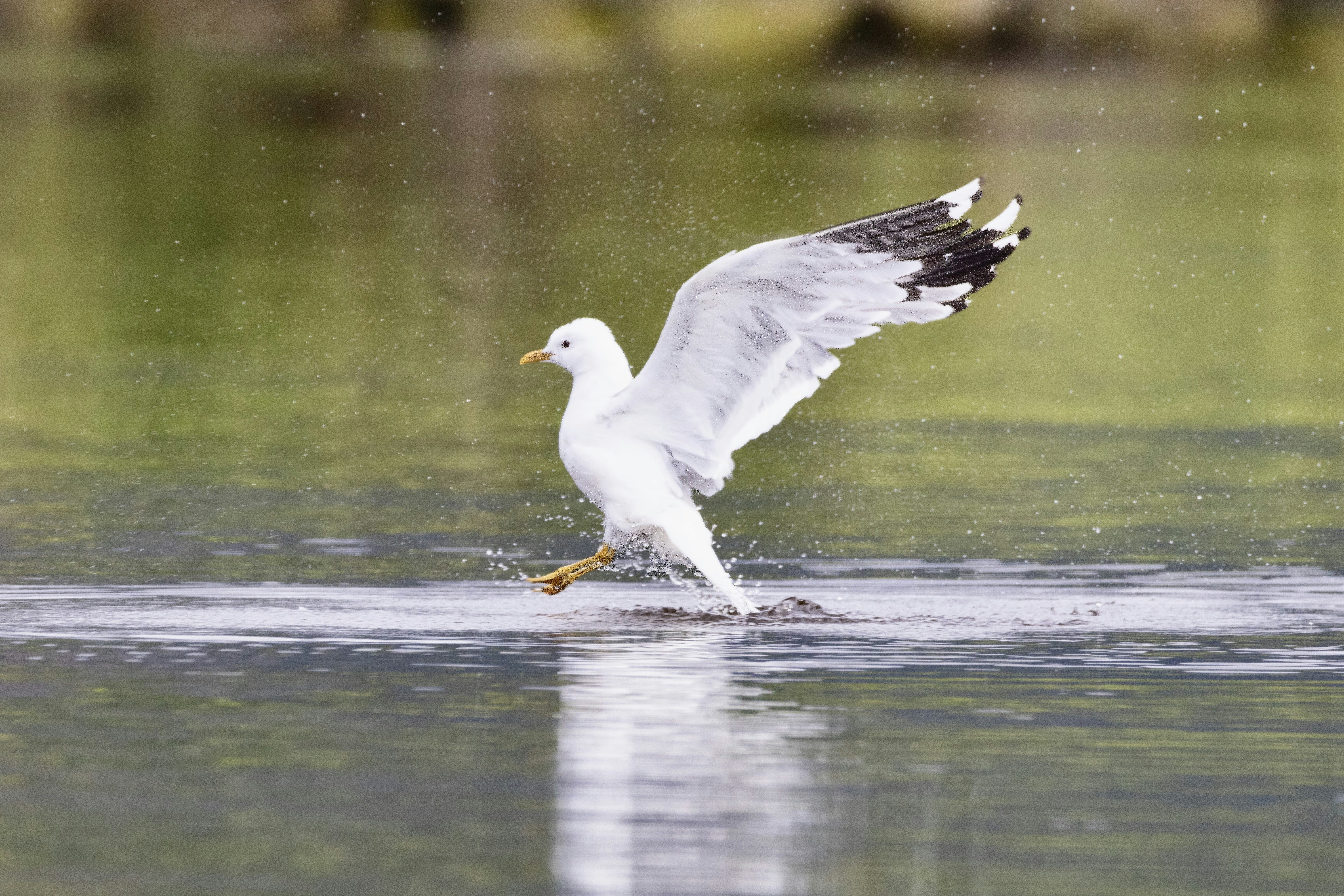 Photo by stockbirken