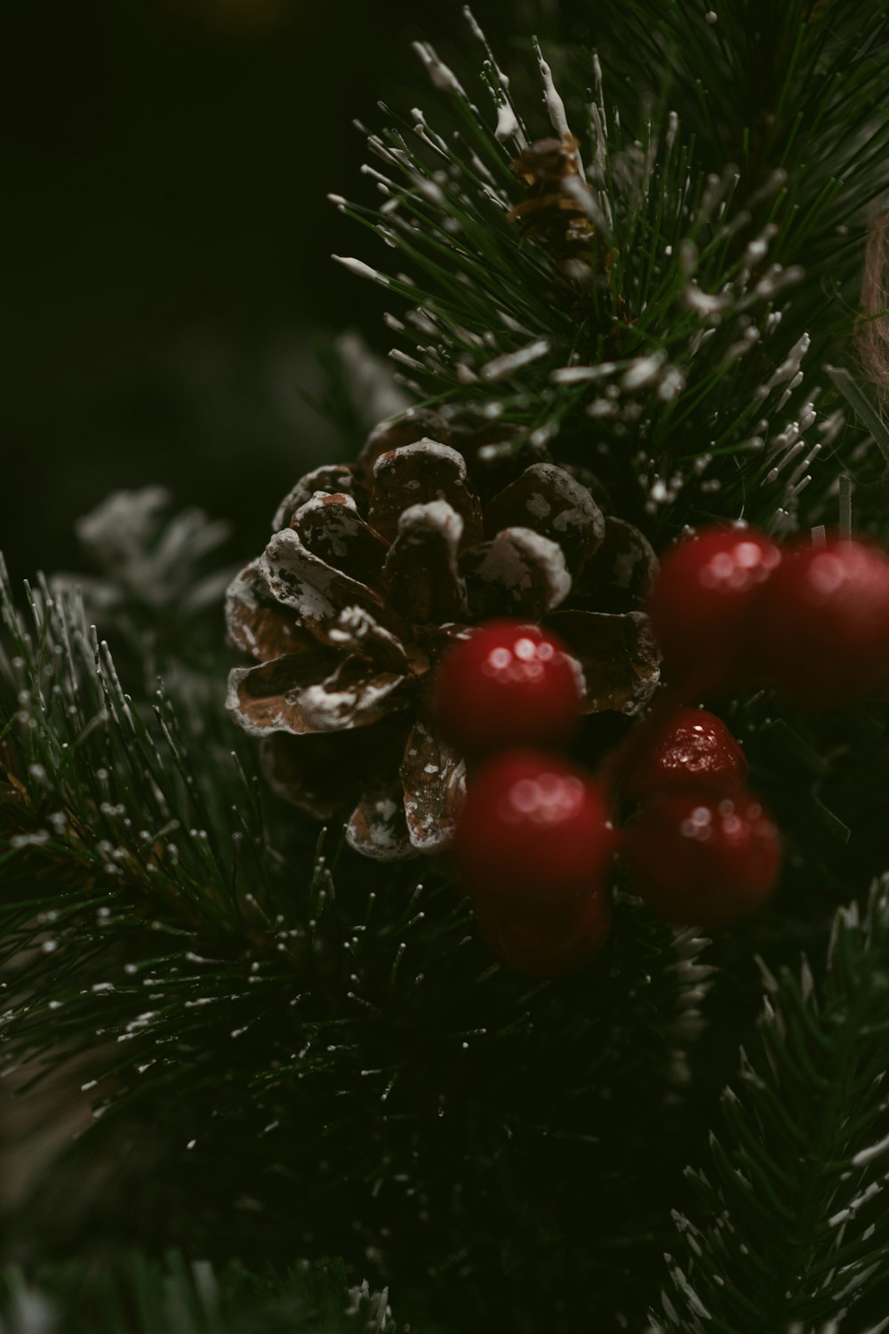 a close up of a pine cone and berries