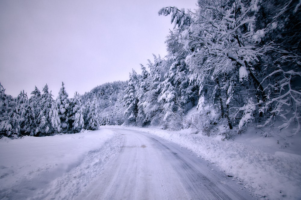 a snow covered road surrounded by snow covered trees