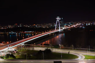 Night view of a cityscape highlighting illuminated bridges and structures.