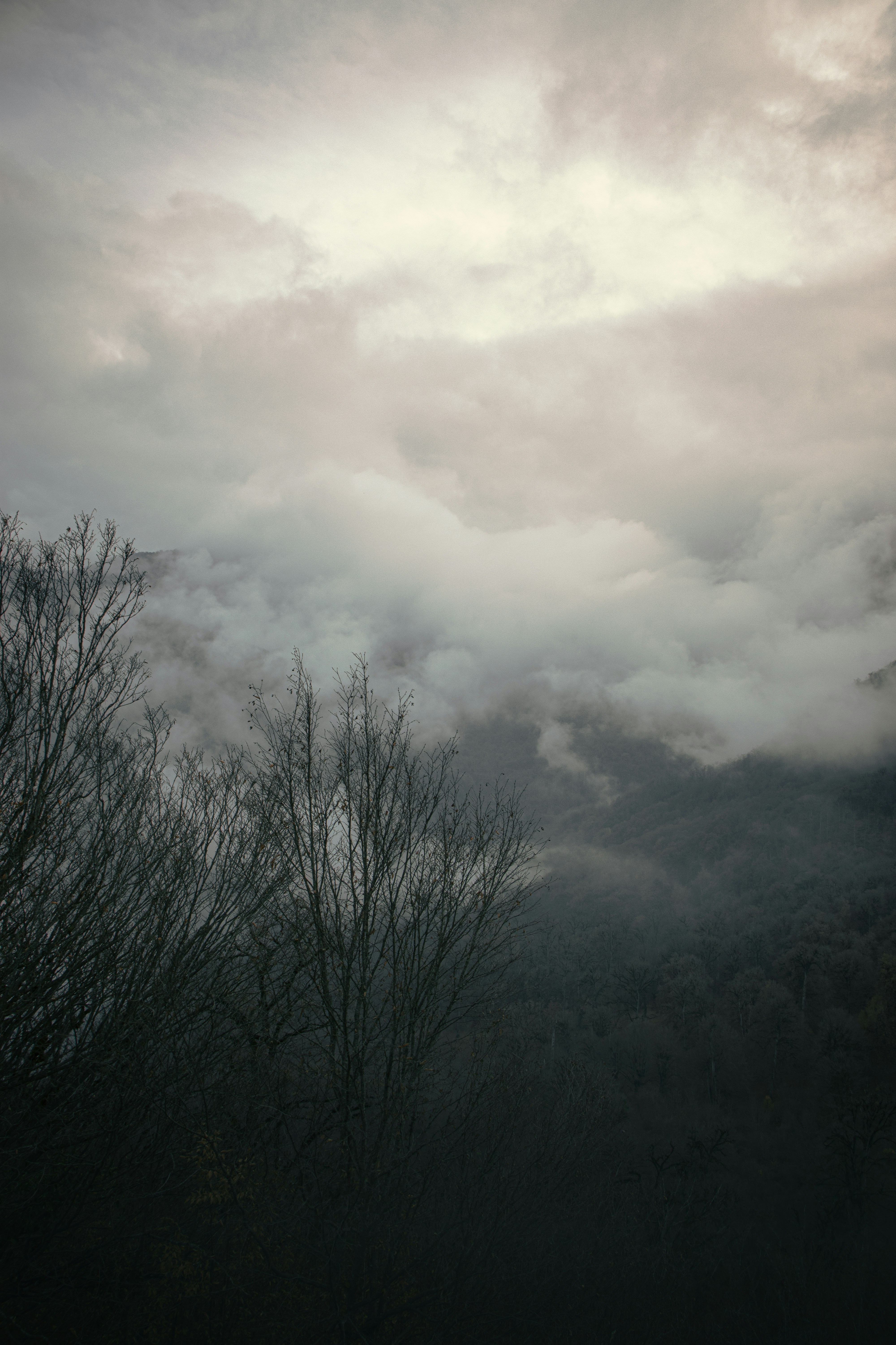 Photo by mahdibafande