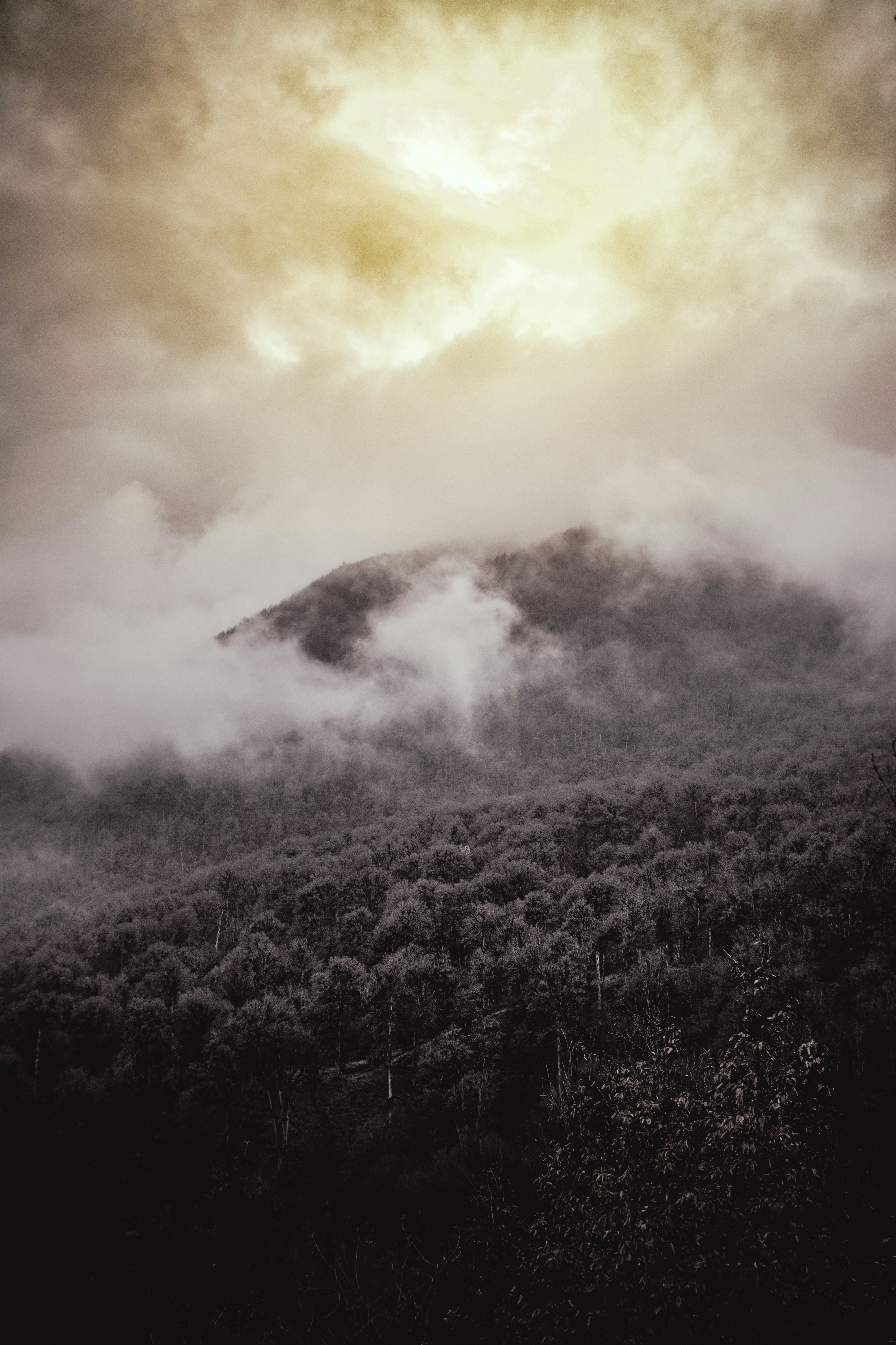 Photo by mahdibafande