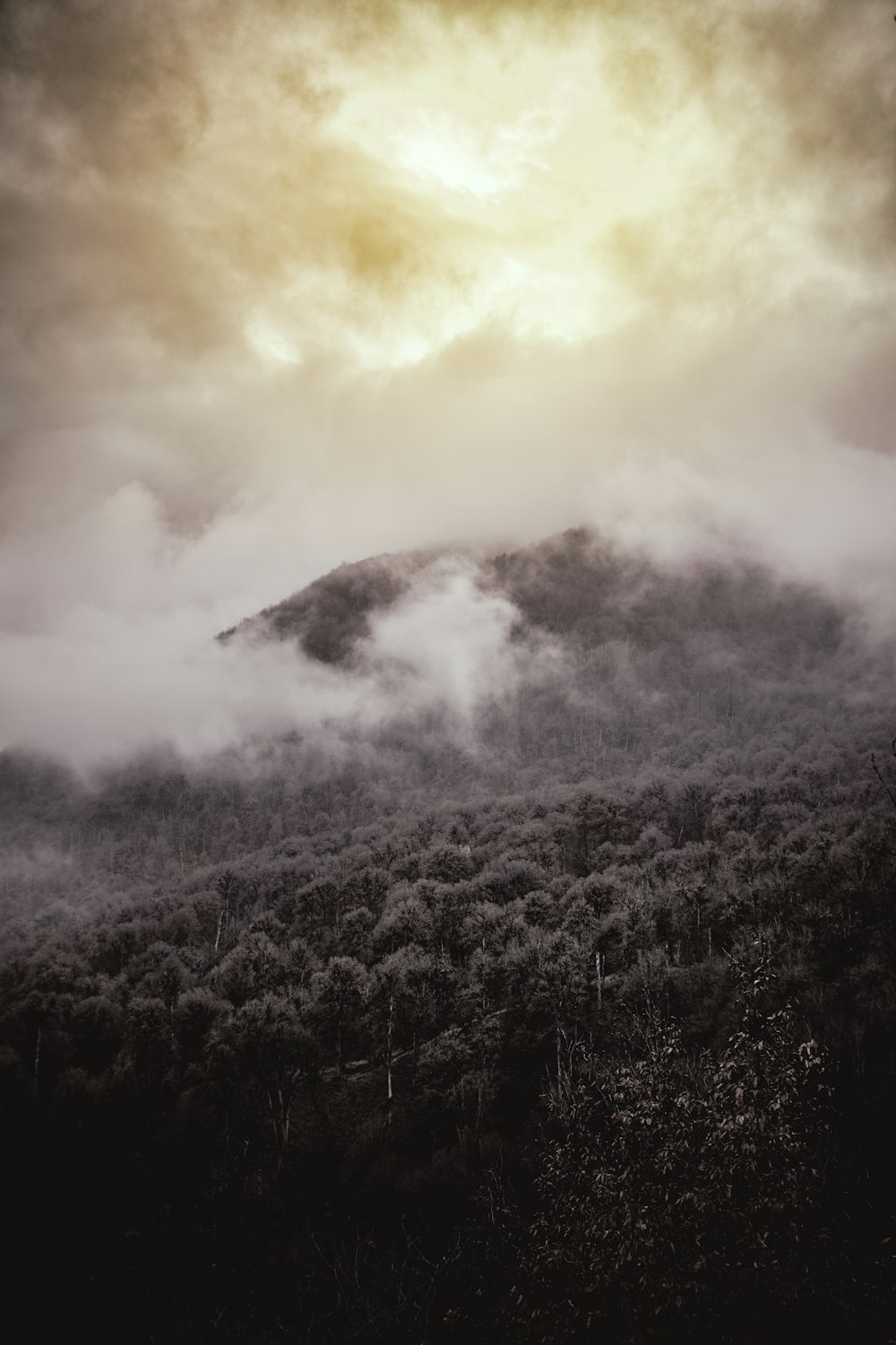 a black and white photo of a mountain covered in clouds