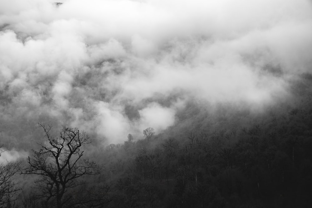 a black and white photo of a mountain covered in clouds