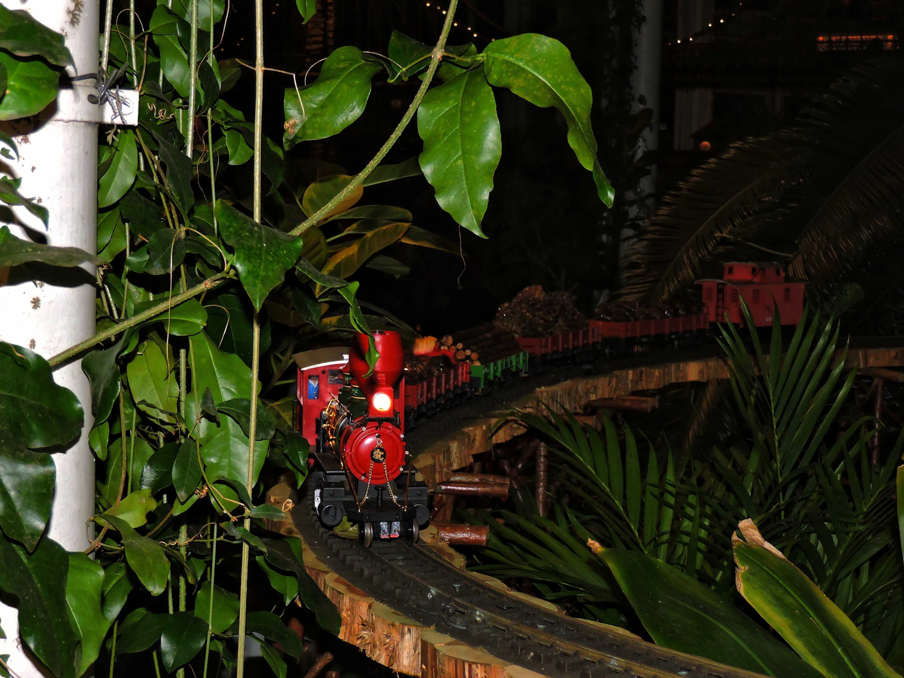 A red model steam engine leading a train along a curved wooden trestle among large green leaves