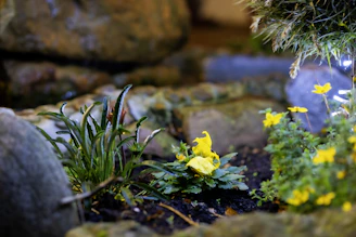Close-up of vibrant flowers and neatly trimmed shrubs under soft natural light, highlighting detailed garden care.