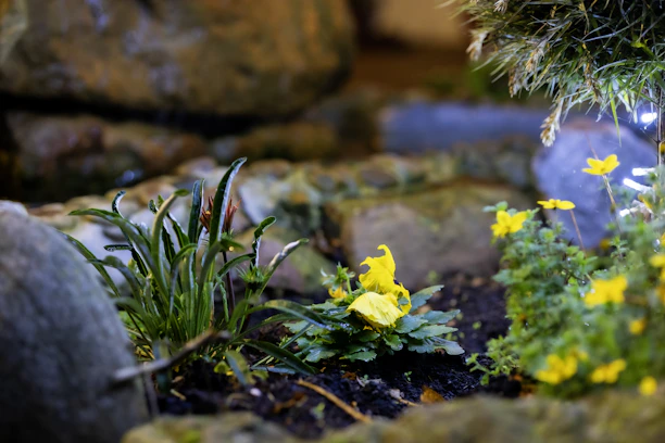 Close-up of vibrant flowers and neatly trimmed shrubs under soft natural light, highlighting detailed garden care.